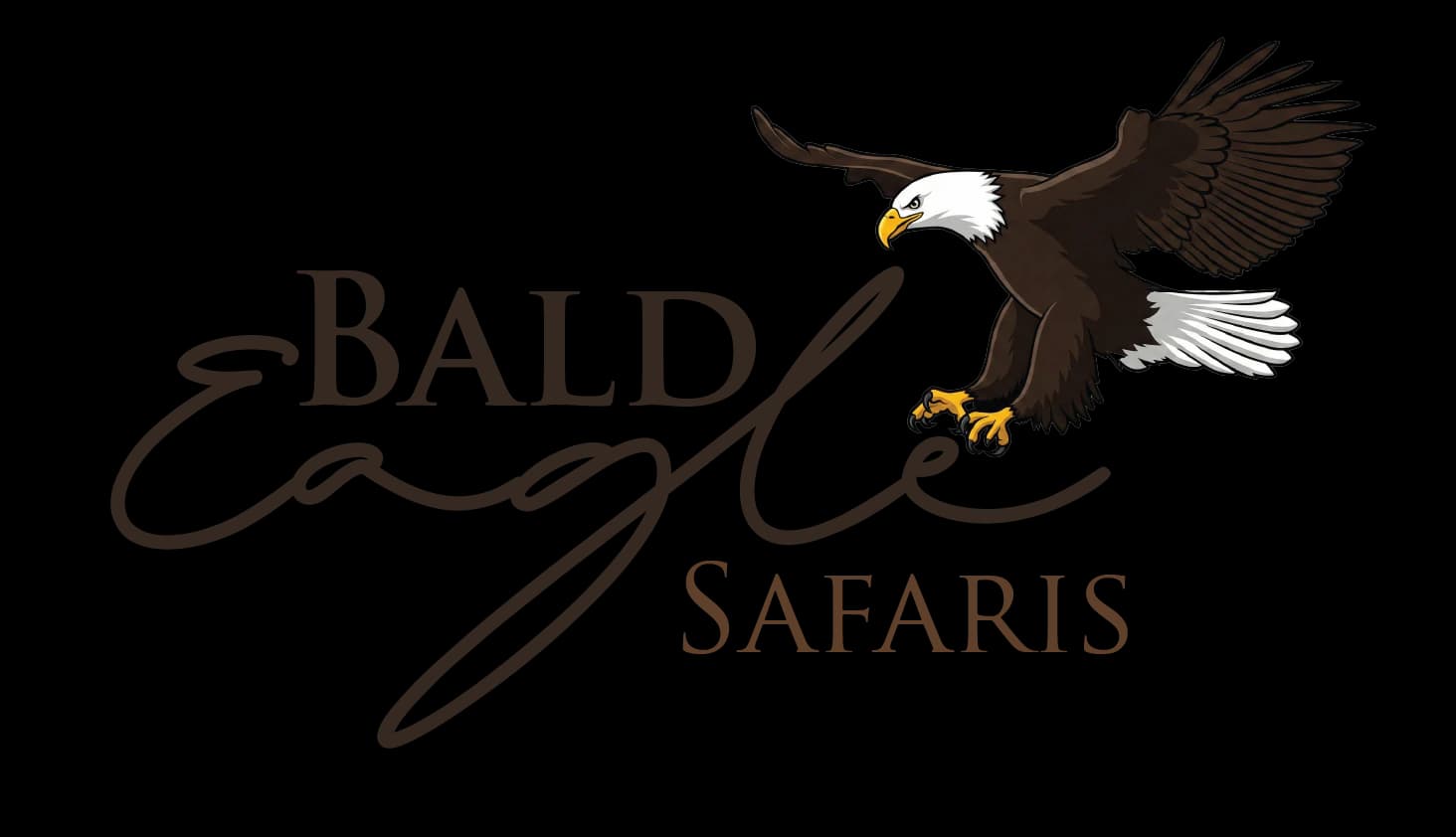 Bald Eagle Safaris