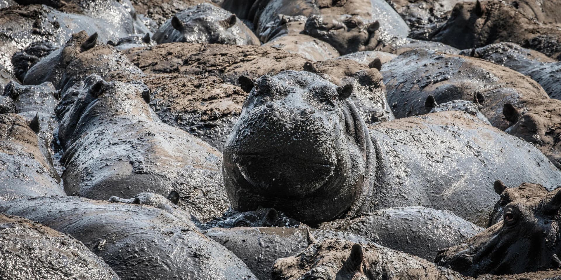 Katavi National Park