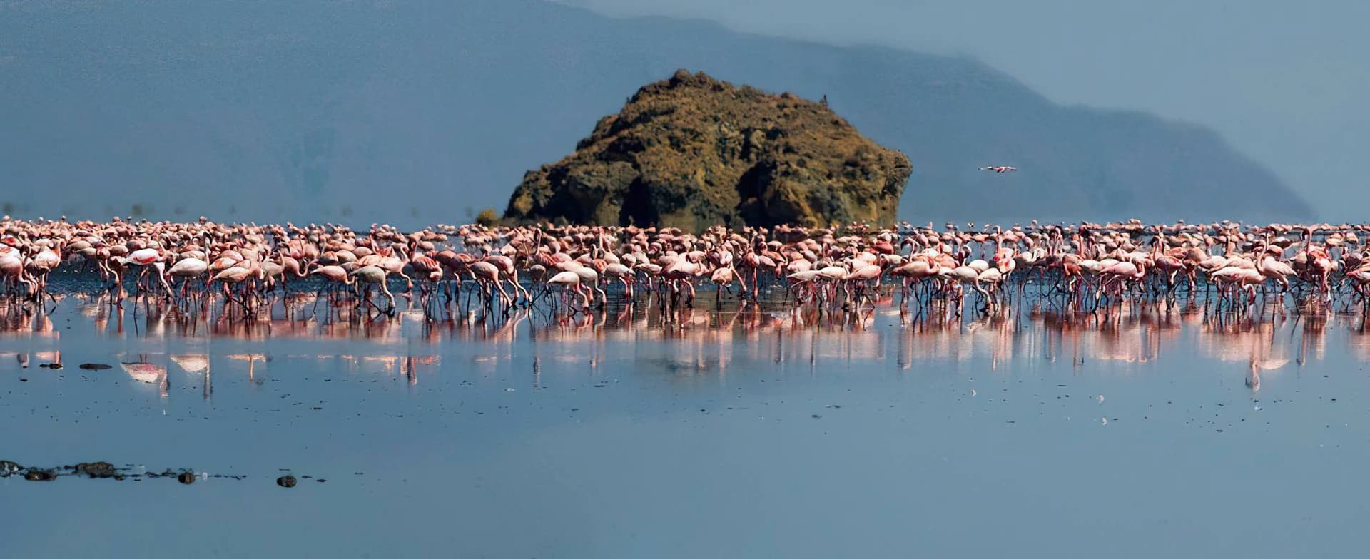 Lake Natron