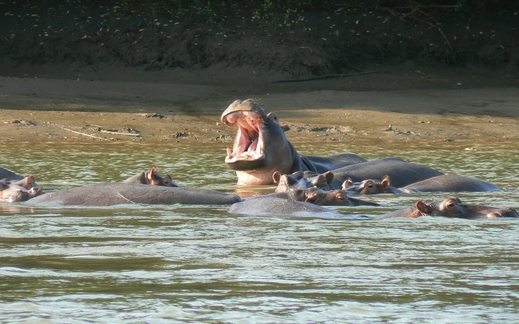 Saadani National Park