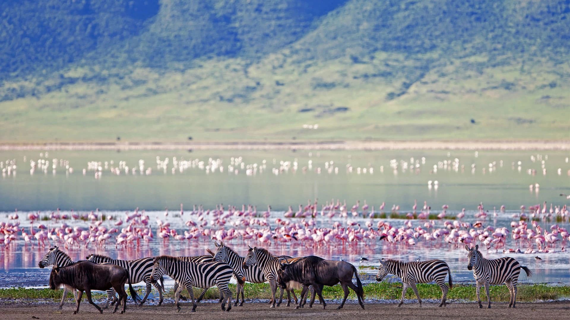 Explore the Ngorongoro Crater - Slide 4