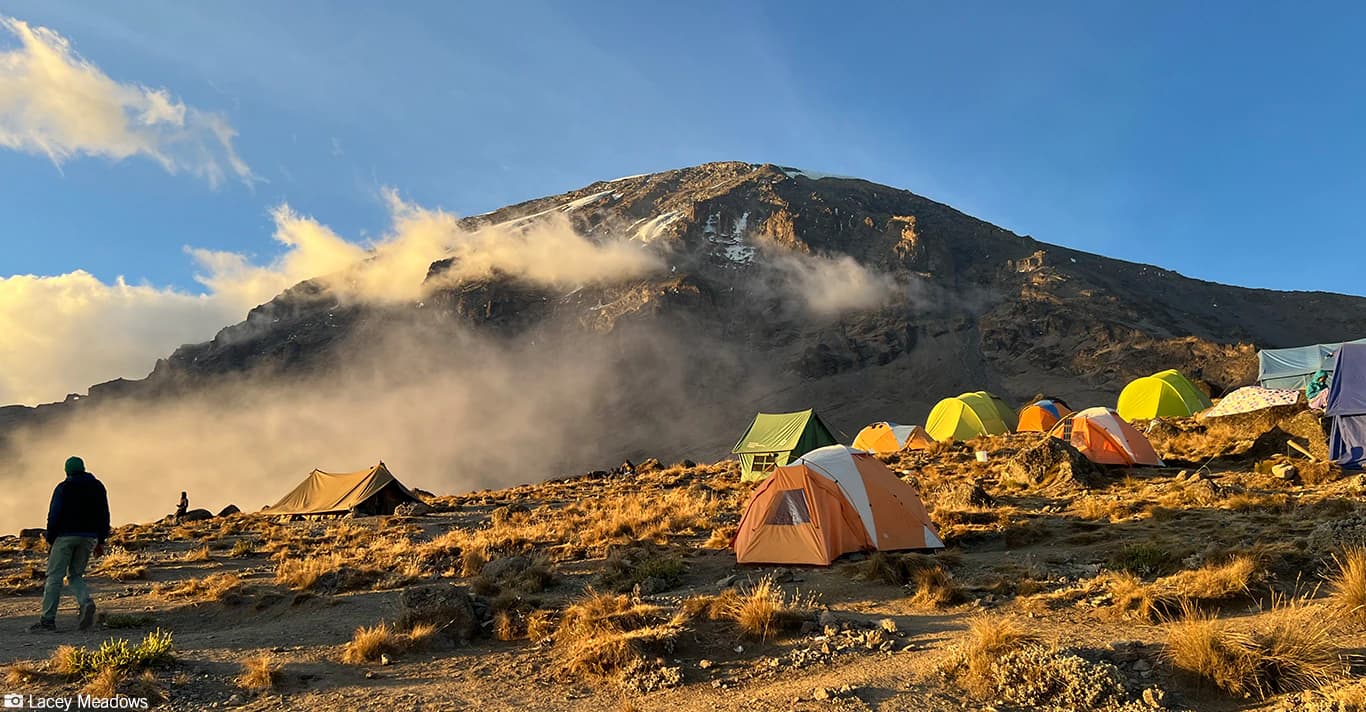 Kilimanjaro