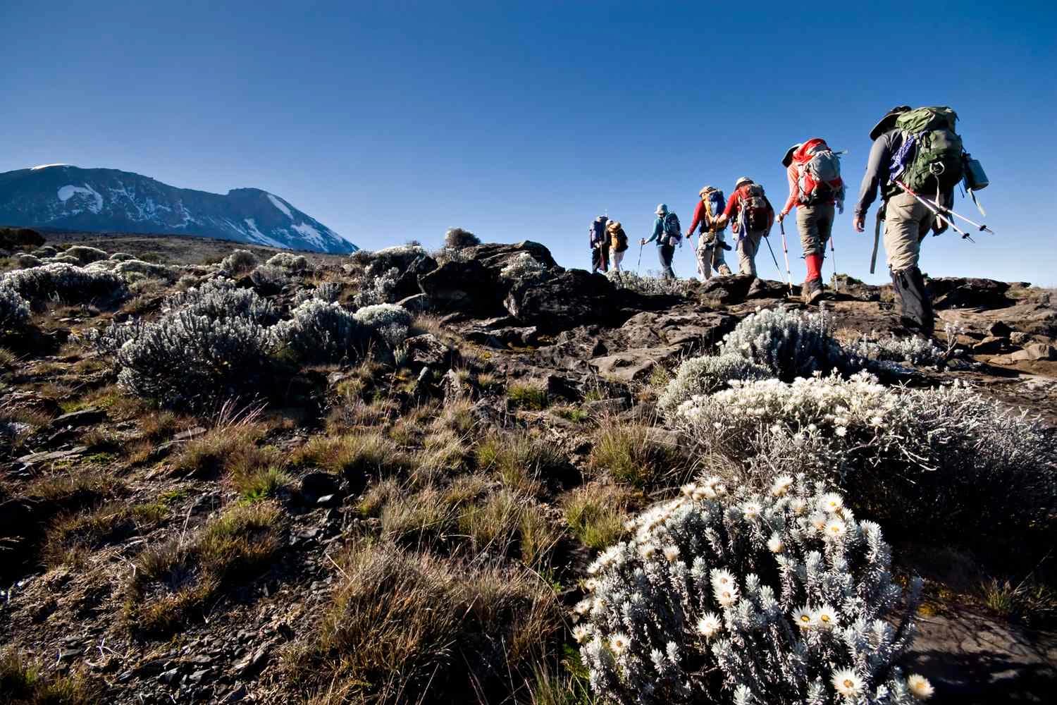 Kilimanjaro Summit