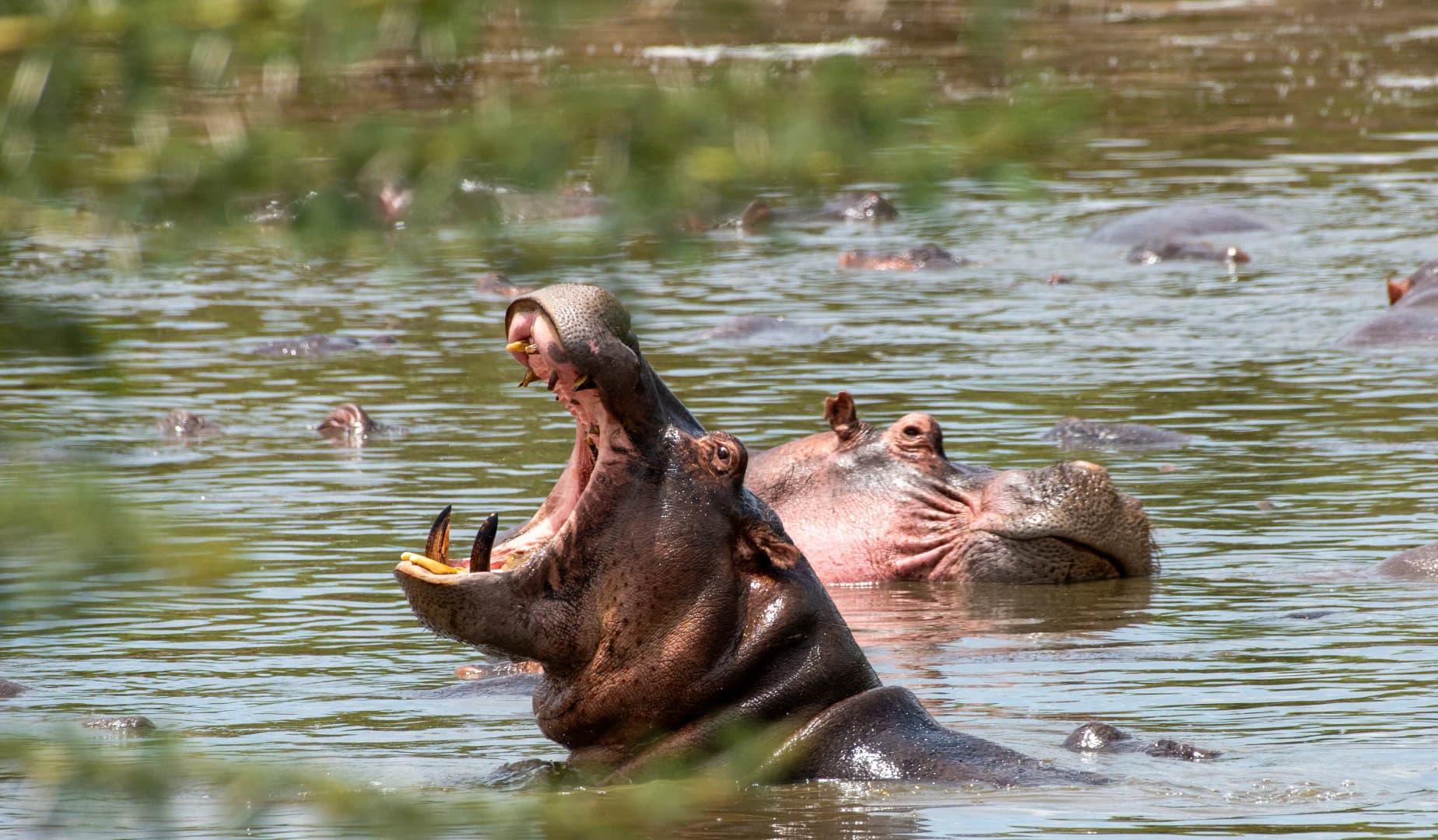 6-Day Luxury Fly-In Safari