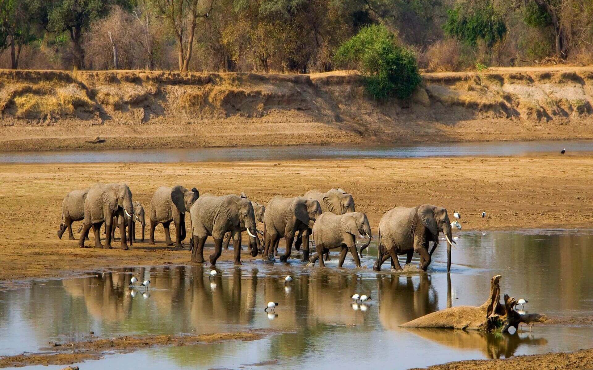 Tanzania savanna