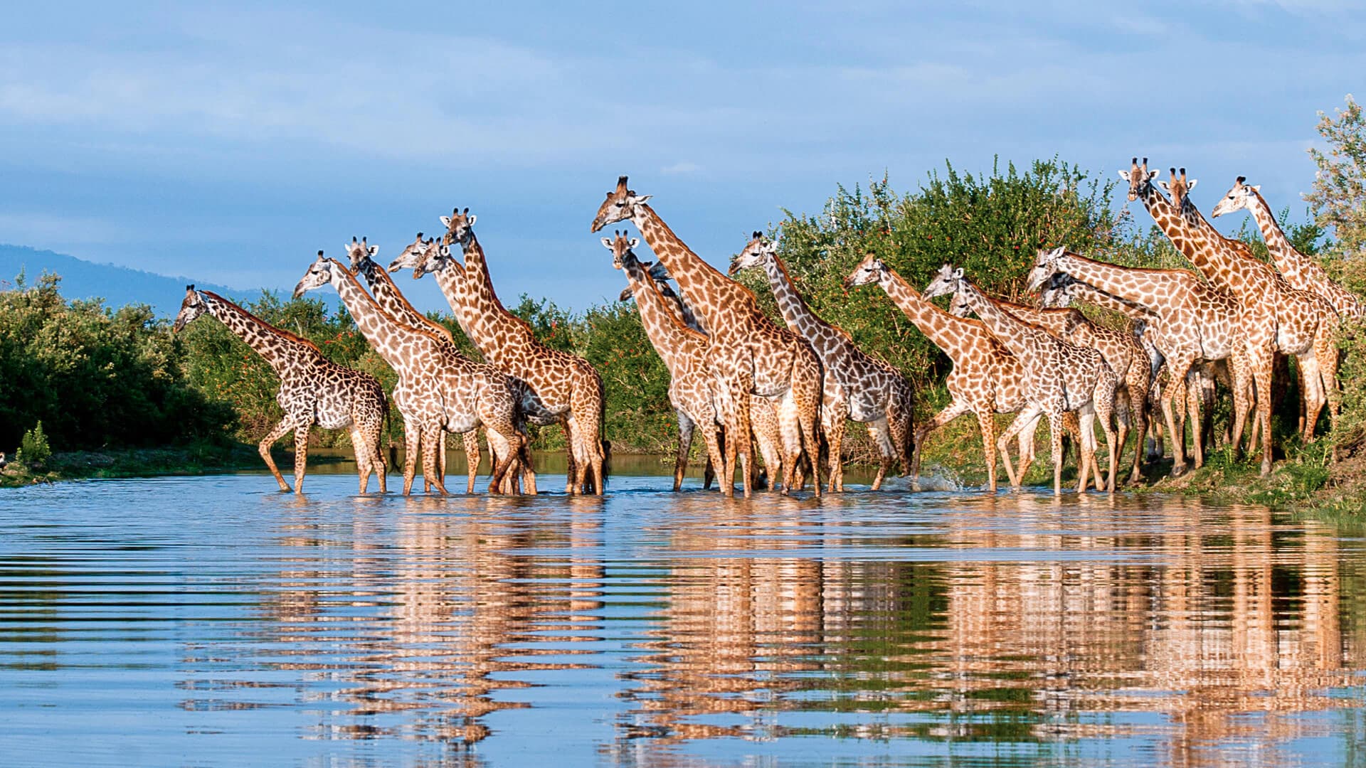7-Day Southern Tanzania Safari