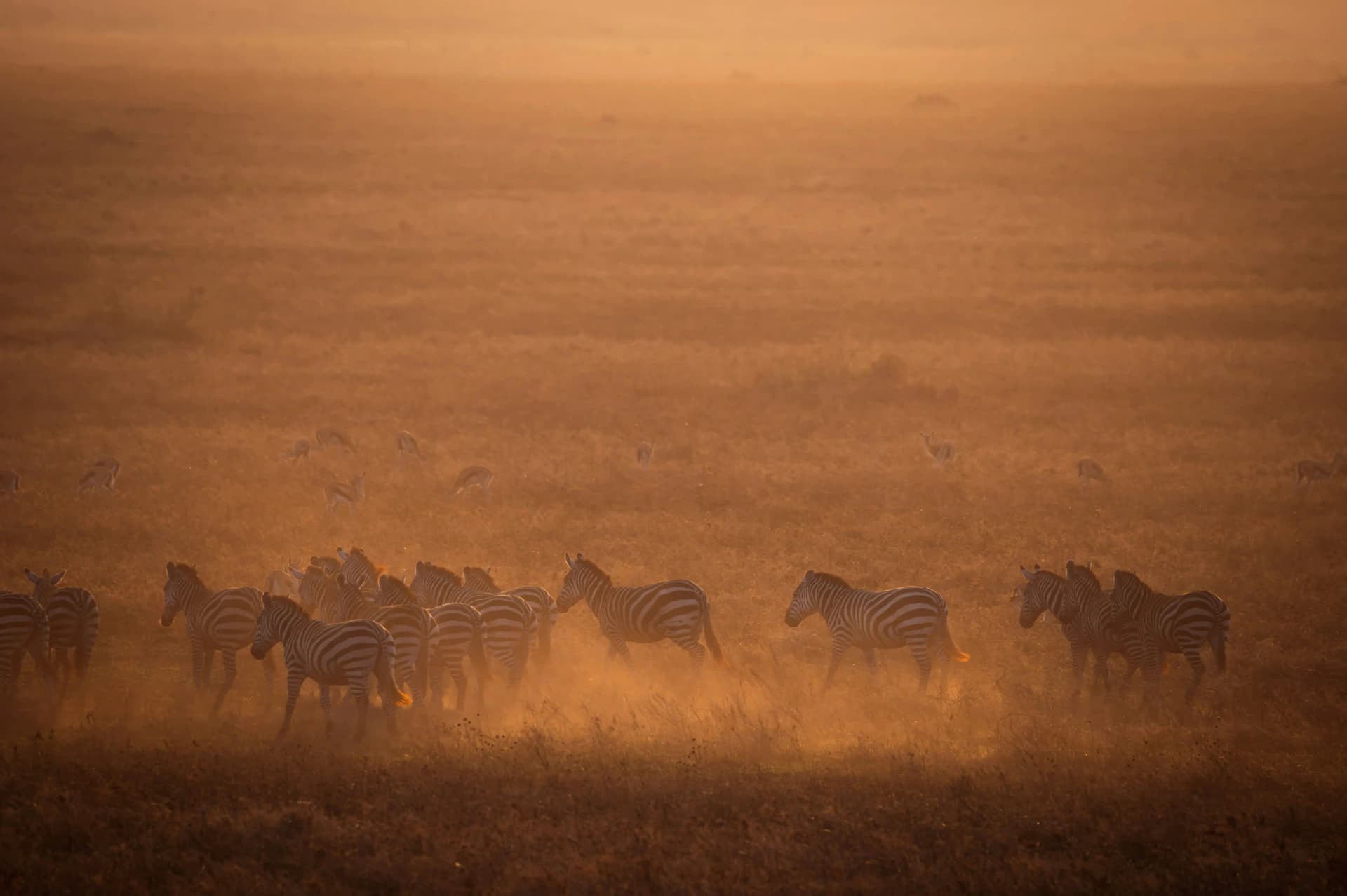 12-Day Kilimanjaro Climb & Safari gallery image 2