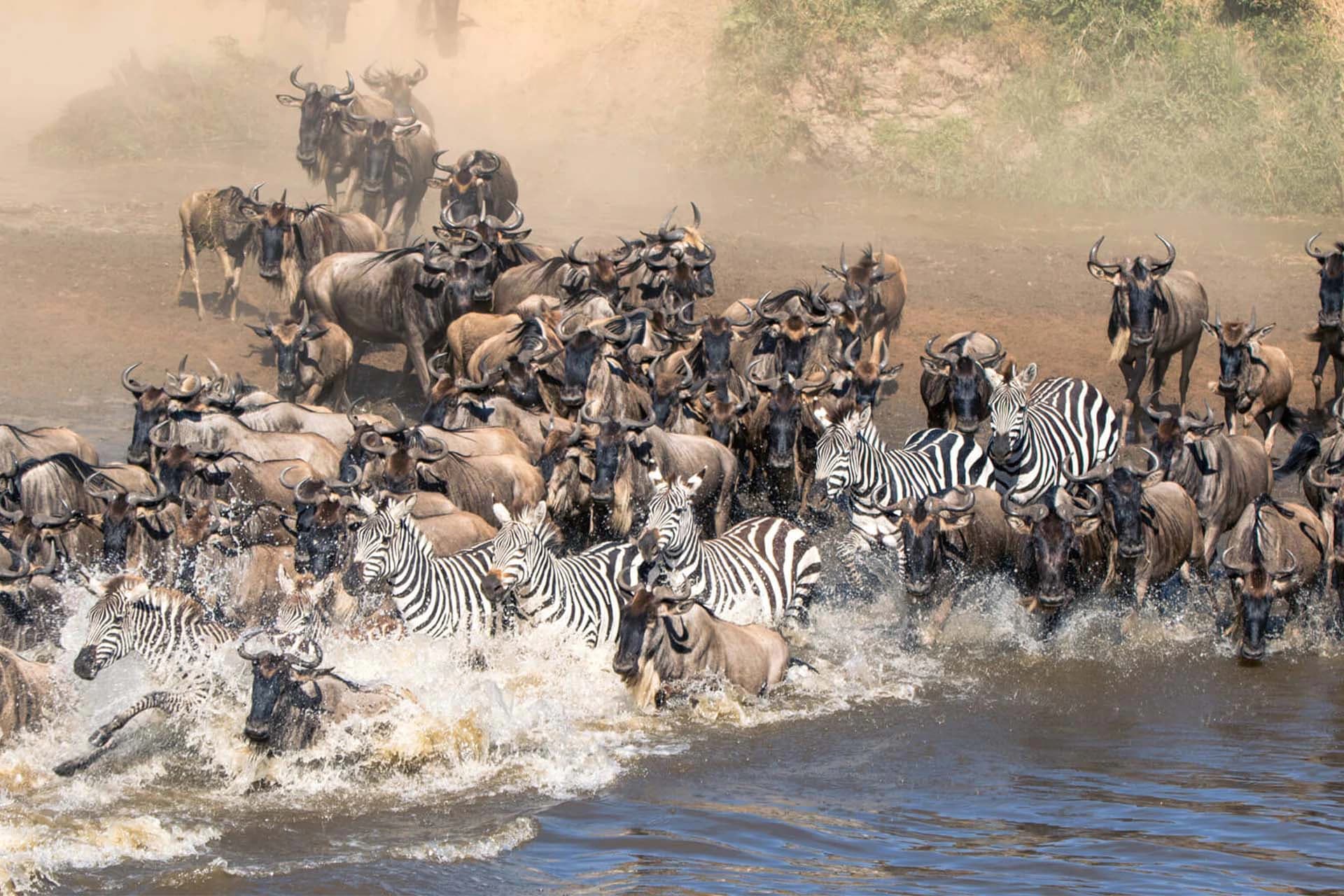 9-Day Great Migration Safari gallery image 3
